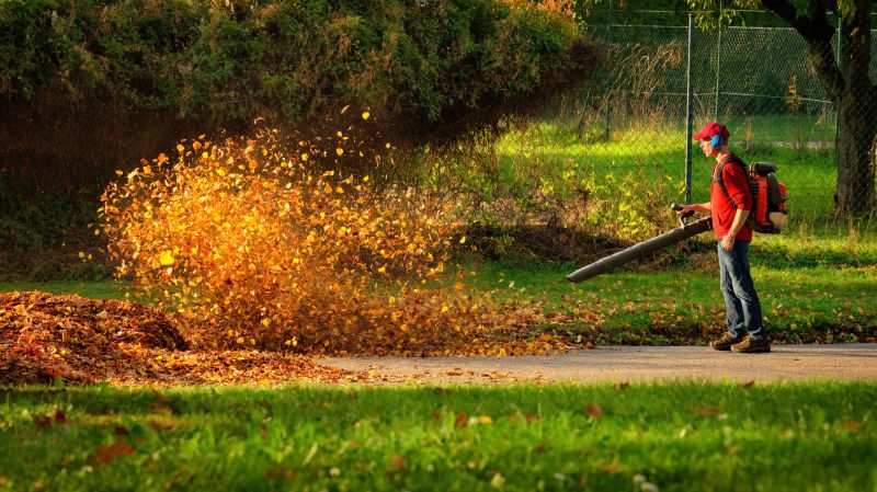 Leaf Blowing Techniques