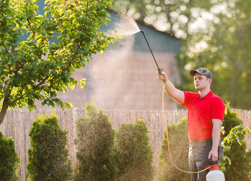 Tree Spraying