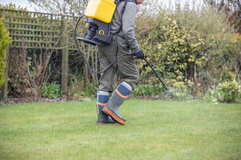 Budget-Smart Upgrades