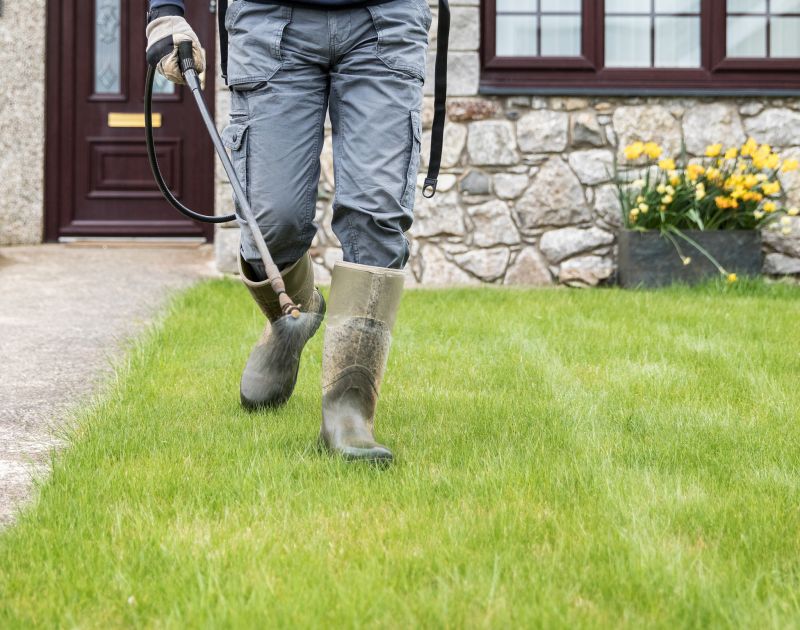 Tree Maintenance Work