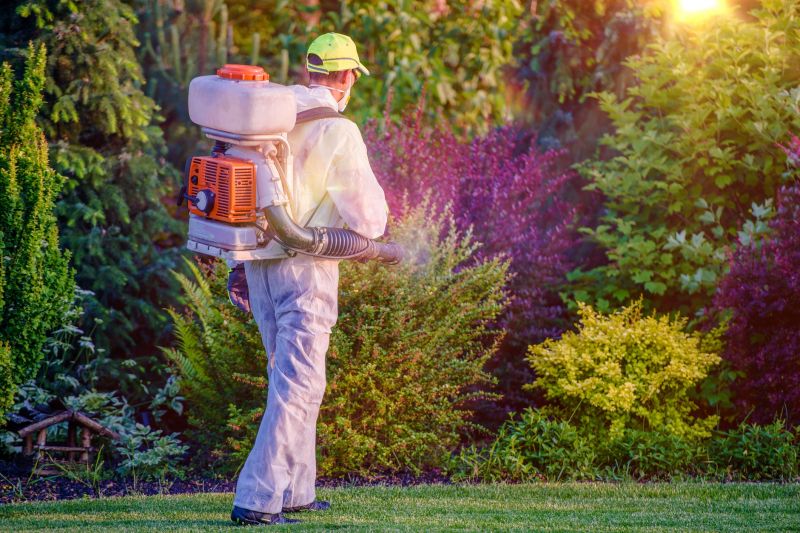 Understanding Tree Spraying Costs — Cost of Tree Spraying