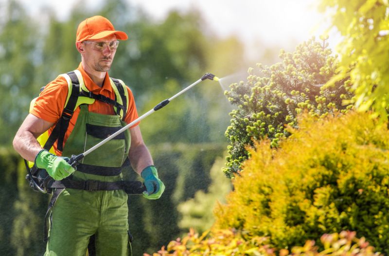 Understanding Tree Spraying Costs — Cost of Tree Spraying